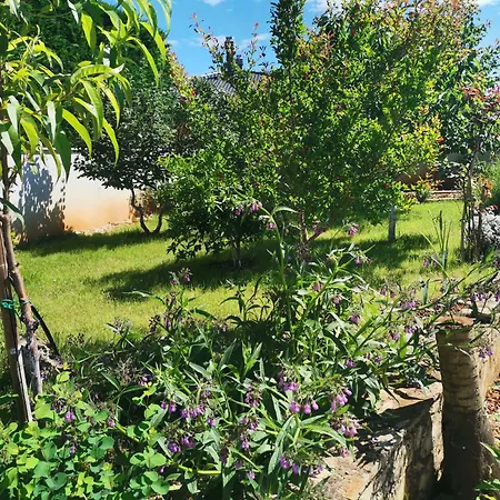 House Lea Apartman Pula