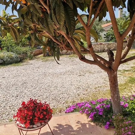 Romantic Flower Apartmán Pula