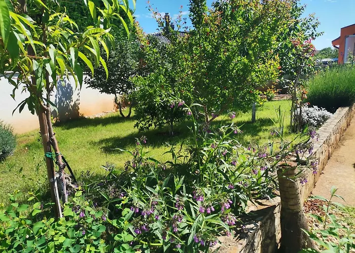 House Lea Apartman Pula