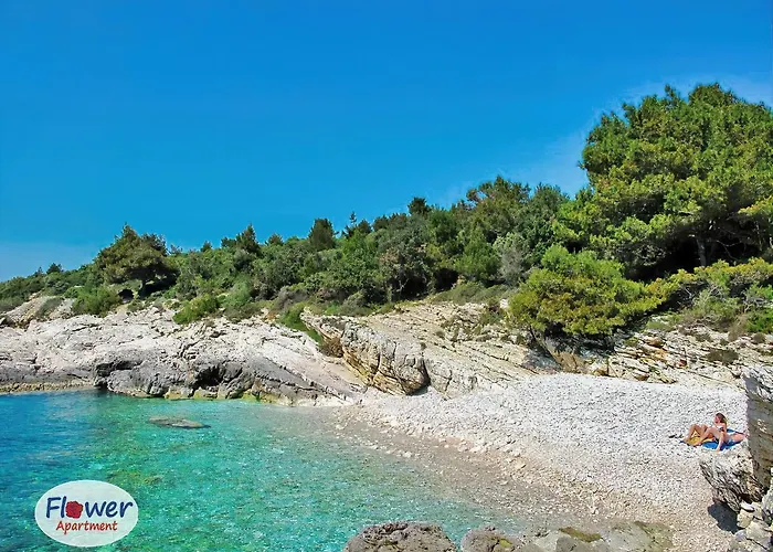 House Lea 아파트 풀라