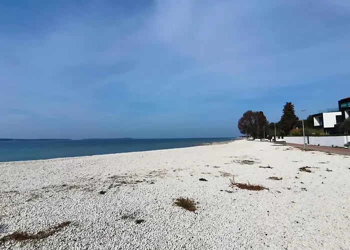 House Lea 아파트 *