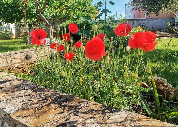 아파트 House Lea *