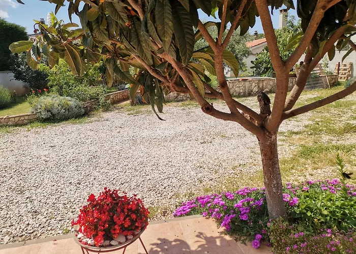 House Lea 아파트 풀라